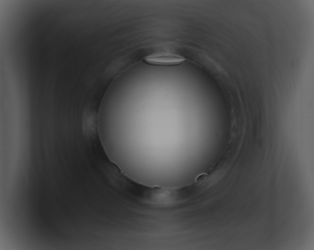 X0000101390096200807071206