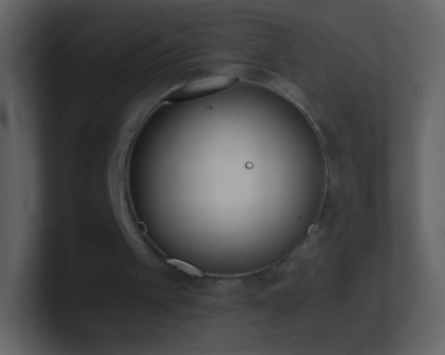 X0000101390097200807071206