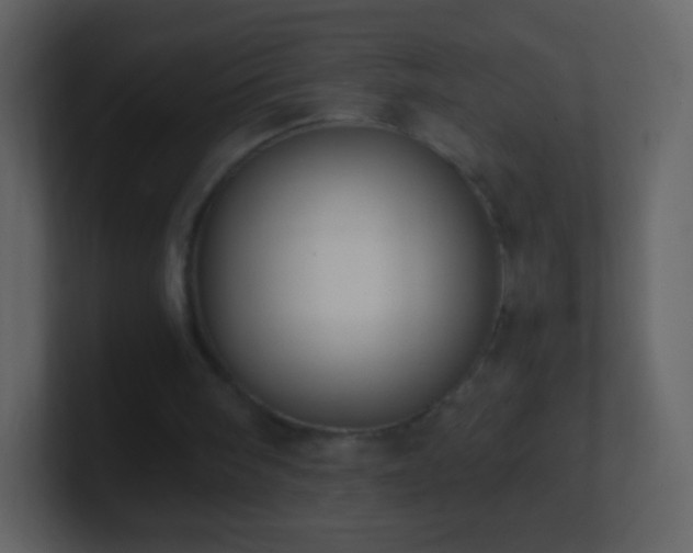 X0000101390098200807071206