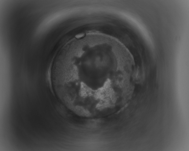 X0000101390099200807071206