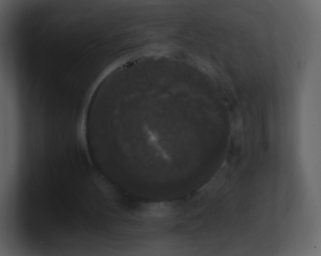 X0000101390100200807071206