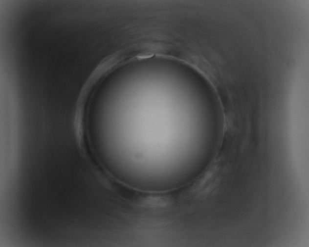 X0000101390101200807071206