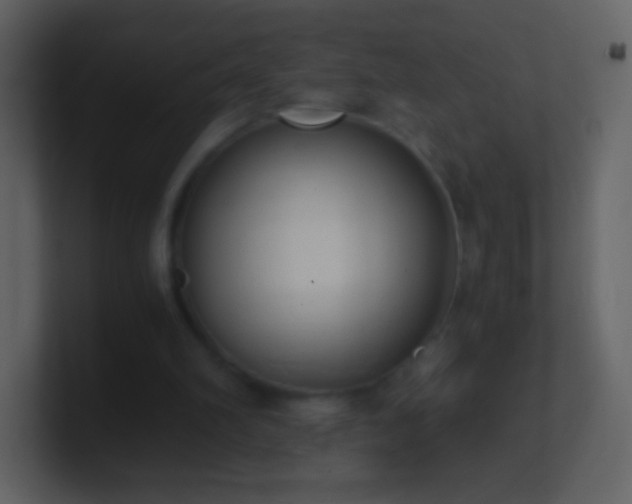 X0000101390102200807071206