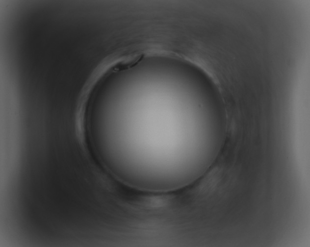 X0000101390103200807071206