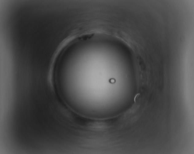 X0000101390104200807071206