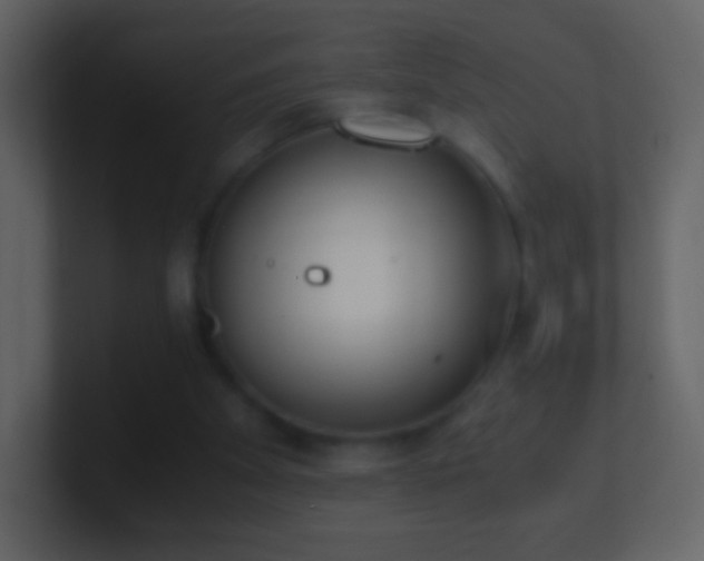 X0000101390105200807071206