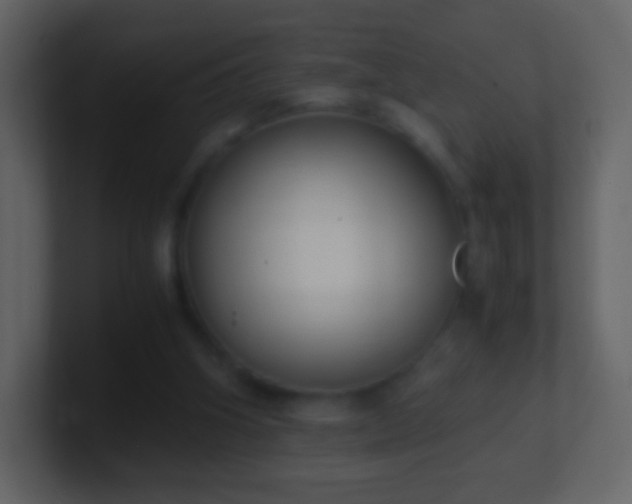 X0000101390106200807071206