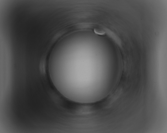 X0000101390107200807071206