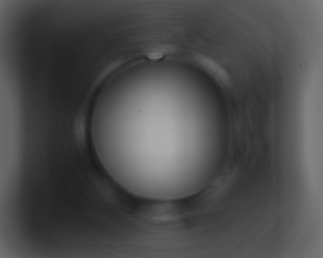 X0000101390108200807071206