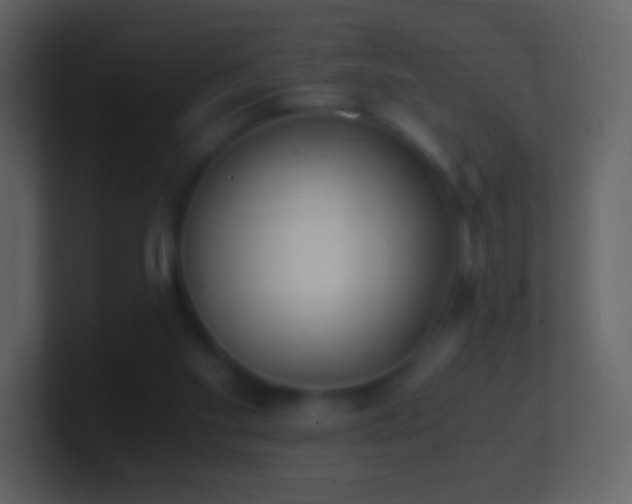 X0000101390109200807071206