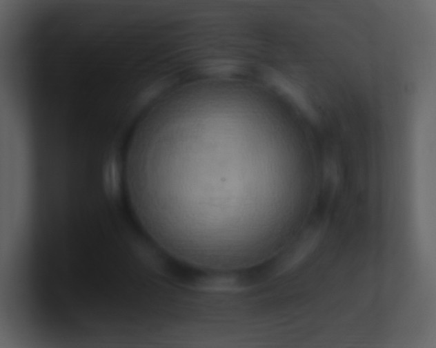 X0000101390110200807071206