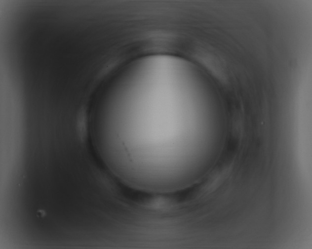 X0000101390111200807071206