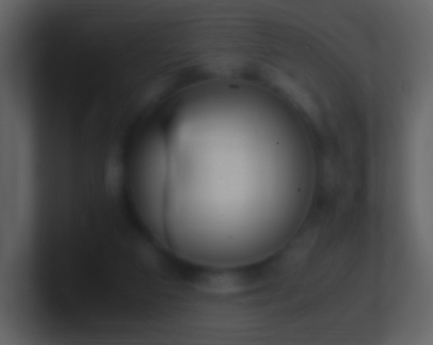 X0000101390113200807071206