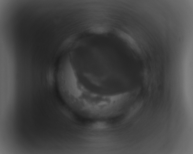 X0000101390114200807071206