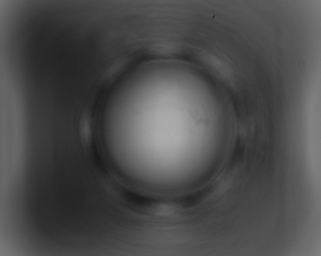 X0000101390115200807071206