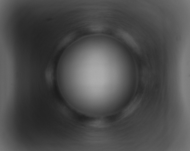 X0000101390116200807071206