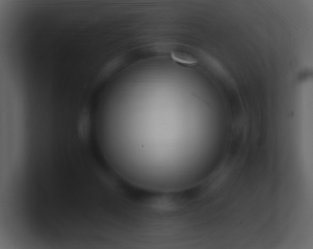 X0000101390120200807071205