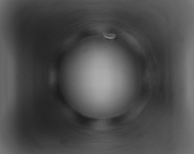 X0000101390122200807071205