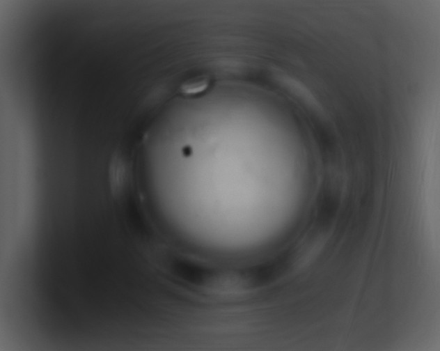 X0000101390123200807071205