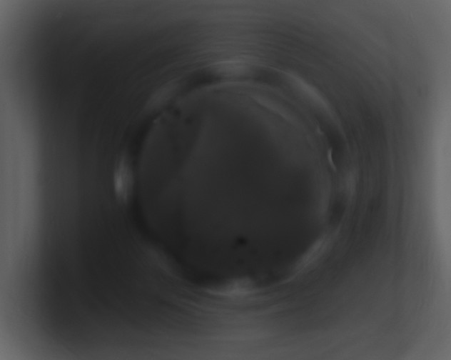 X0000101390124200807071205