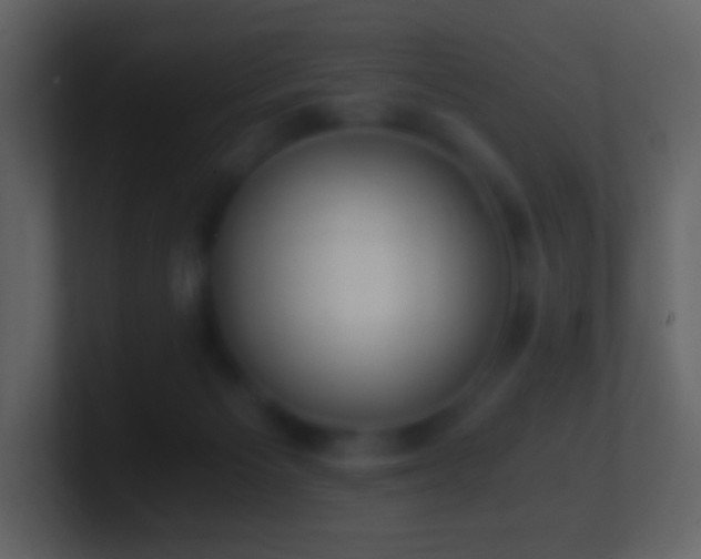 X0000101390125200807071205