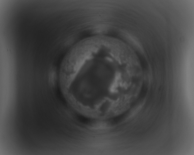 X0000101390127200807071205