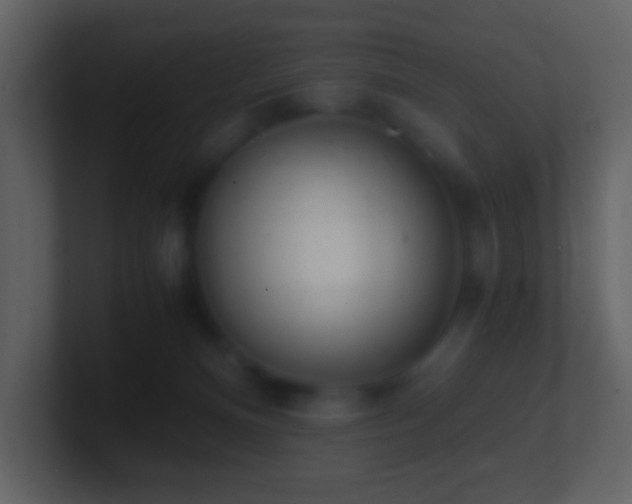 X0000101390128200807071205