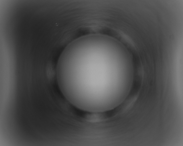 X0000101390129200807071205