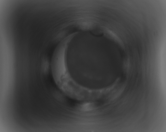 X0000101390130200807071205