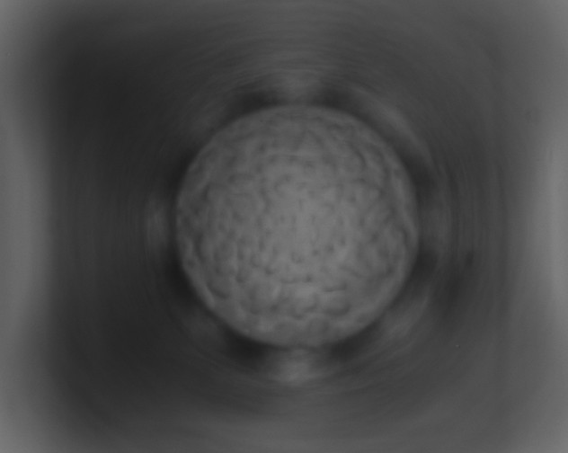 X0000101390131200807071205