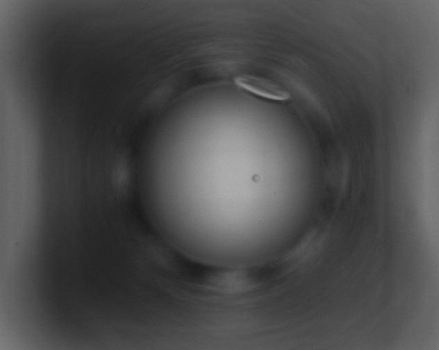 X0000101390132200807071205