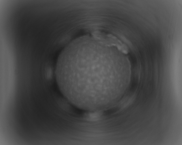 X0000101390134200807071205