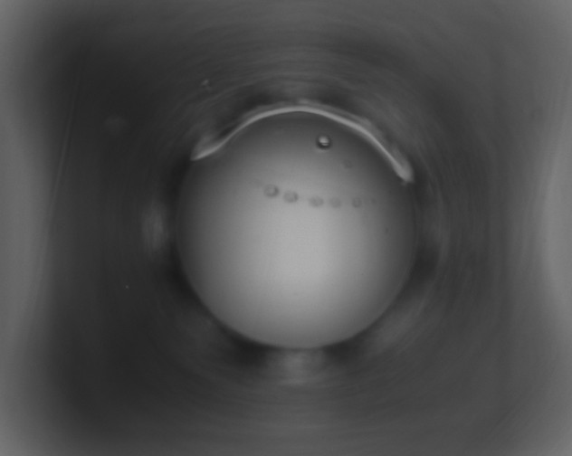 X0000101390135200807071205