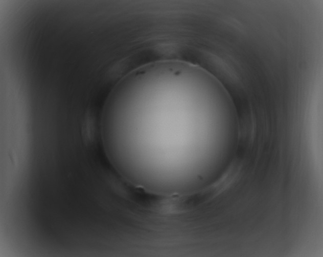 X0000101390136200807071205