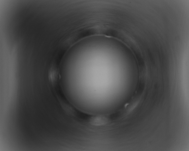 X0000101390137200807071205