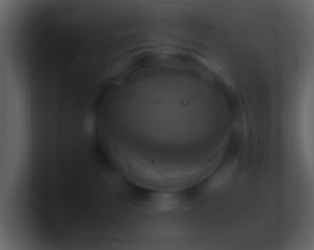 X0000101390139200807071205