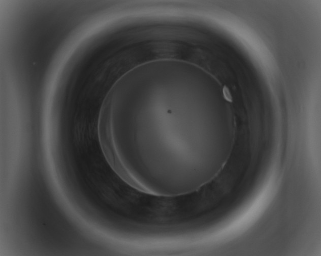 X0000101390143200807071205