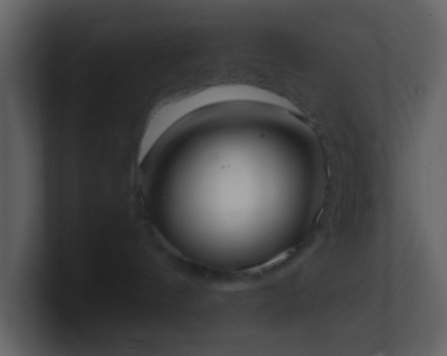 X0000101390144200807071205