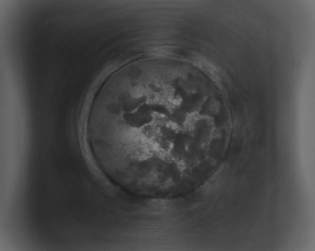 X0000101390145200807071205