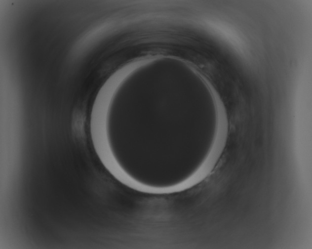 X0000101390146200807071205