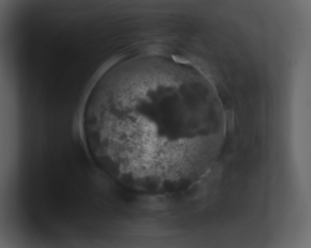 X0000101390147200807071205