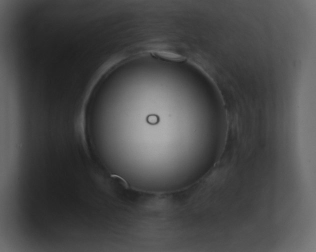 X0000101390148200807071205