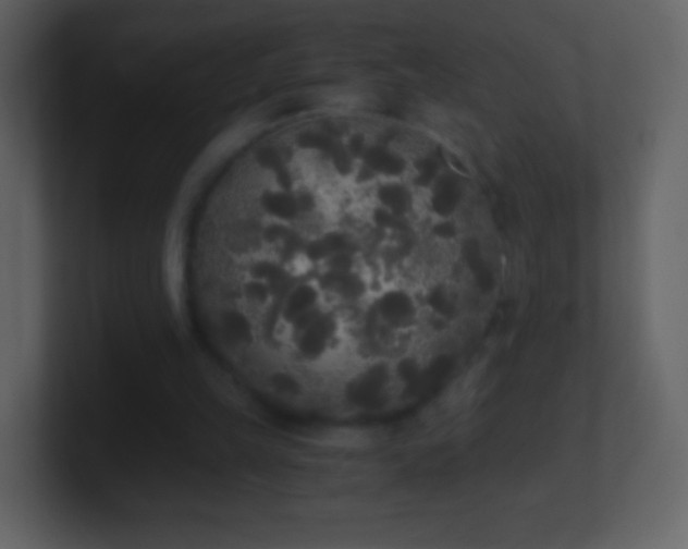 X0000101390149200807071205