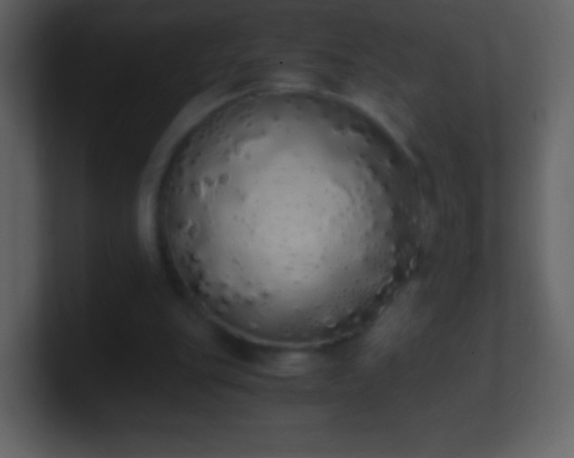 X0000101390151200807071205