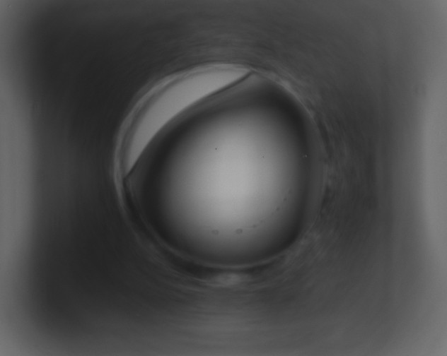 X0000101390152200807071205