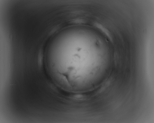 X0000101390153200807071205