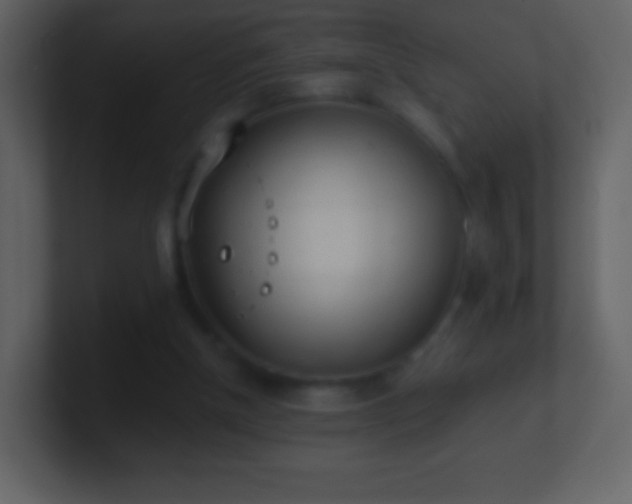 X0000101390154200807071205