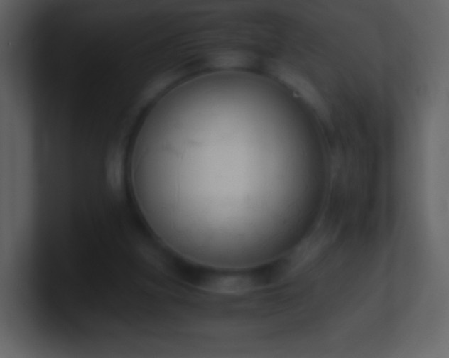 X0000101390155200807071205