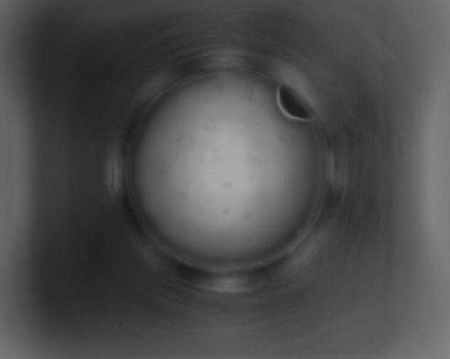 X0000101390157200807071205