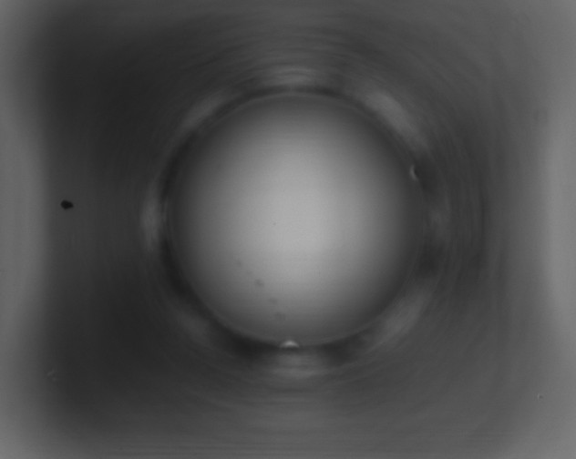 X0000101390160200807071205